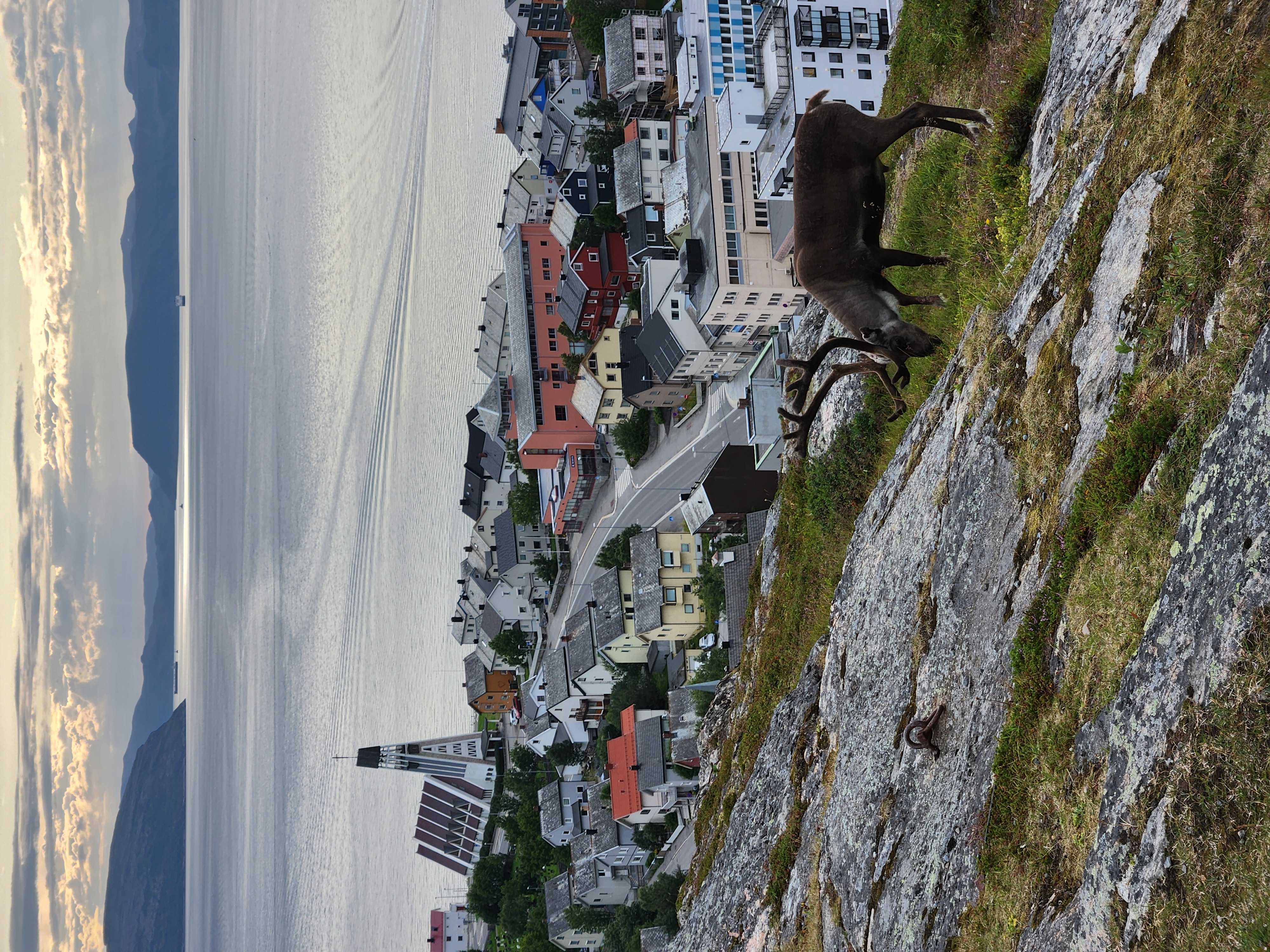 Rein over Hammerfest
